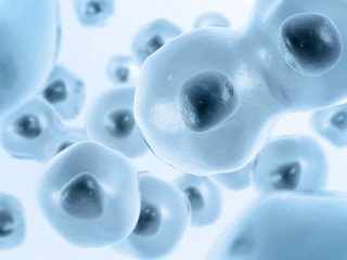 Poster - Cell divides into two cells. Blue-gray color.