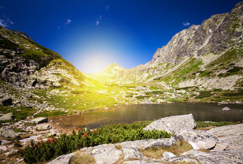 Summer mountain landscape