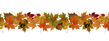 Autumn Leaves Border - Isolated On A White Background
