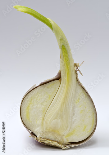 Fotografie, Obraz Halbierter gekeimter chinesischer Knoblauch