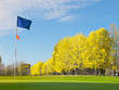 Golf blue flag on green in fall