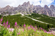 © marcociannarel - View of the Rosengarten group in the Dolomites, Italy