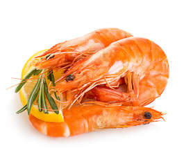 Tiger shrimps with lemon slice and rosemary. Prawns with lemon slice and rosemary isolated on a white background. Seafood