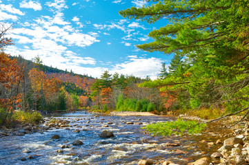 Wall Mural - Swift River at autumn