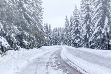 Poster - Snowy winter road in Julian Alps