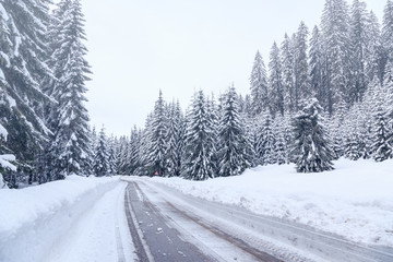 Poster - Snowy winter road in Julian Alps