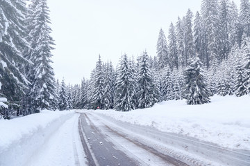 Poster - Snowy winter road in Julian Alps