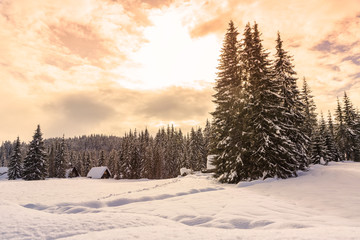 Canvas Print - Winter landscape near Vogel ski center