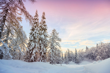 Poster - Winter landscape near Vogel ski center