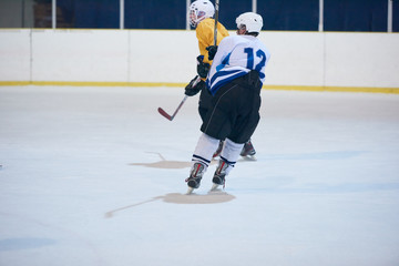 Wall Mural - ice hockey player in action