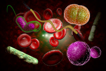 Wall Mural - Bacteria Infection Bloodstream