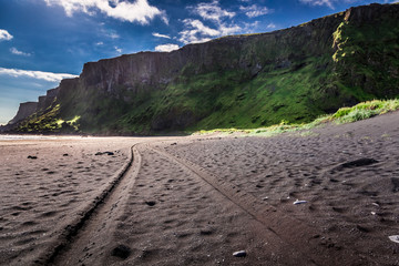 Wall Mural - Black sand beach in Iceland
