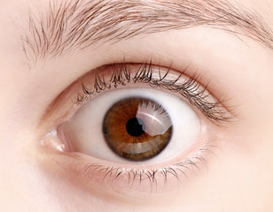 macro image of wide open female brown eye