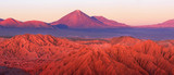 Fototapeta  - Catarpe, Licancabur volcano, Atacama desert, Chile