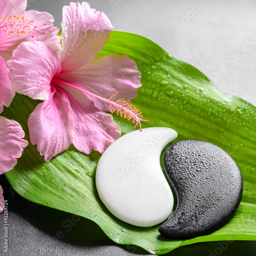 Naklejka - mata magnetyczna na lodówkę Różowe kwiaty hibiskusa i kamienie Yin-Yang