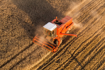 aerial view of combine on  the harvest field