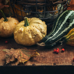 Wall Mural - small pumpkin closeup