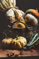Wall Mural - corn and pumpkins