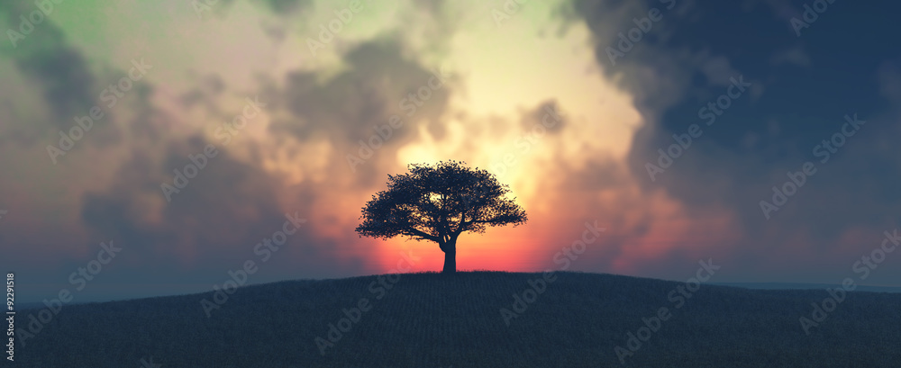 sunset and tree - obrazy, fototapety, plakaty 