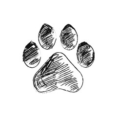 hand drawn doodle of animal footpri, Vector illustration.
