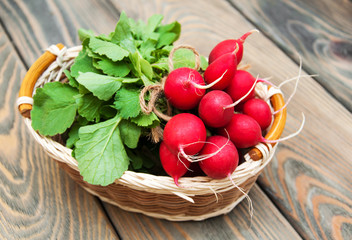 Canvas Print - Fresh organic radish