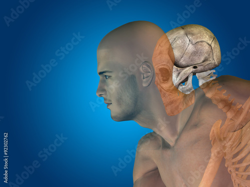 Naklejka - mata magnetyczna na lodówkę Conceptual Anatomy human body