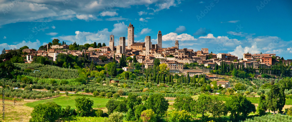 San Gimignano with vineyard - obrazy, fototapety, plakaty 