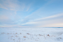 Snowy Prairie