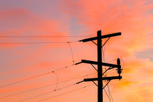 Telephone Pole And Wires Silhouette Against A Vivid Sunset 