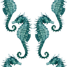 Watercolor Seahorse Pattern