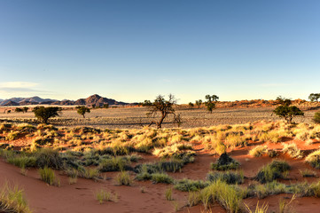desert landscape - namibrand, namibia