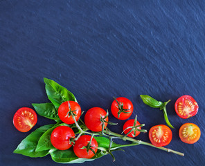 Canvas Print - tomato