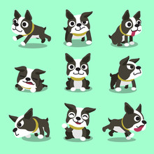Cartoon Character Boston Terrier Dog Poses