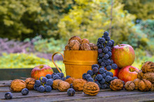 Autumn Still Life With Ecological Bio Fruit