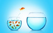 Goldfish jumping from glass aquarium,on blue background