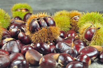 Wall Mural - Chestnuts