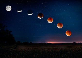 bloody moon