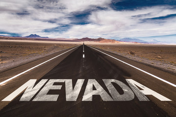 Wall Mural - Nevada written on desert road