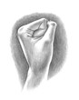 hand up in the air or fist pump drawing or sketch illustration of clenched hand showing power or strength or concept of success and victory, also shows celebration of winning or achievement in sports