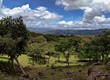  Miraflor Natural Reserve, Esteli, Nicaragua, Central America