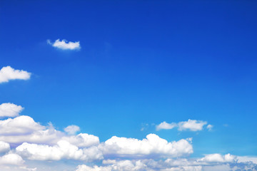 Wall Mural - clond and sky in sunny day