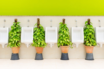 restroom interior with white urinal row and ornamental plants