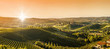 Panoramic view of the Langhe vineyards and hills