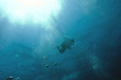 single diver in sea in the sunlight on a background of blue water