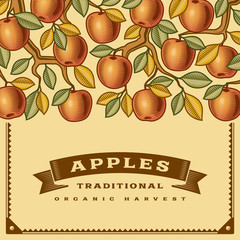 Wall Mural - Retro apple harvest card