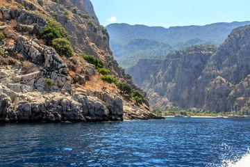 Canvas Print - Butterfly Valley