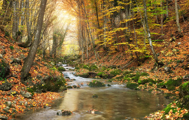 Poster - Autumn landscape.