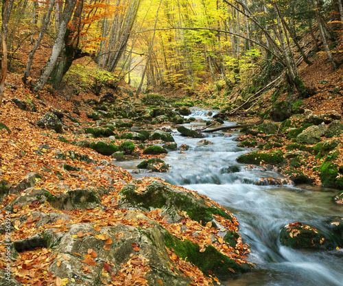 Naklejka dekoracyjna Autumn landscape.