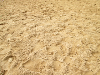 Poster - sea sand with footprints