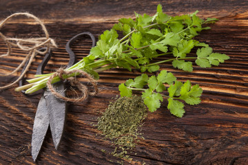 Canvas Print - Fresh and dry coriander herb.